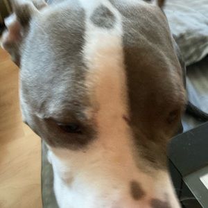 Meet your Posher, Seth